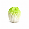 Crunchy Cabbage Squishy – Satisfying Sensory Toy - 1-PIECE BOX
